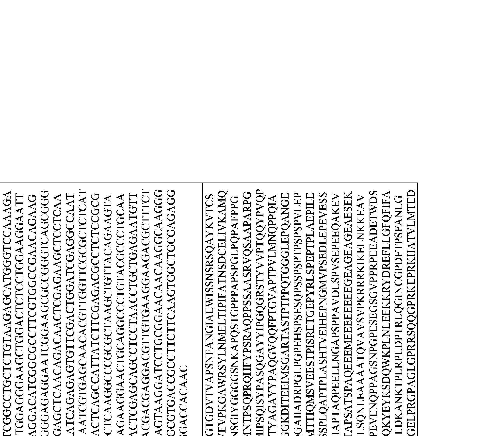 Figure imgf000033_0001