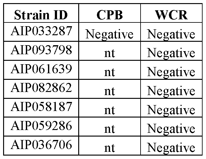 Figure imgf000071_0001