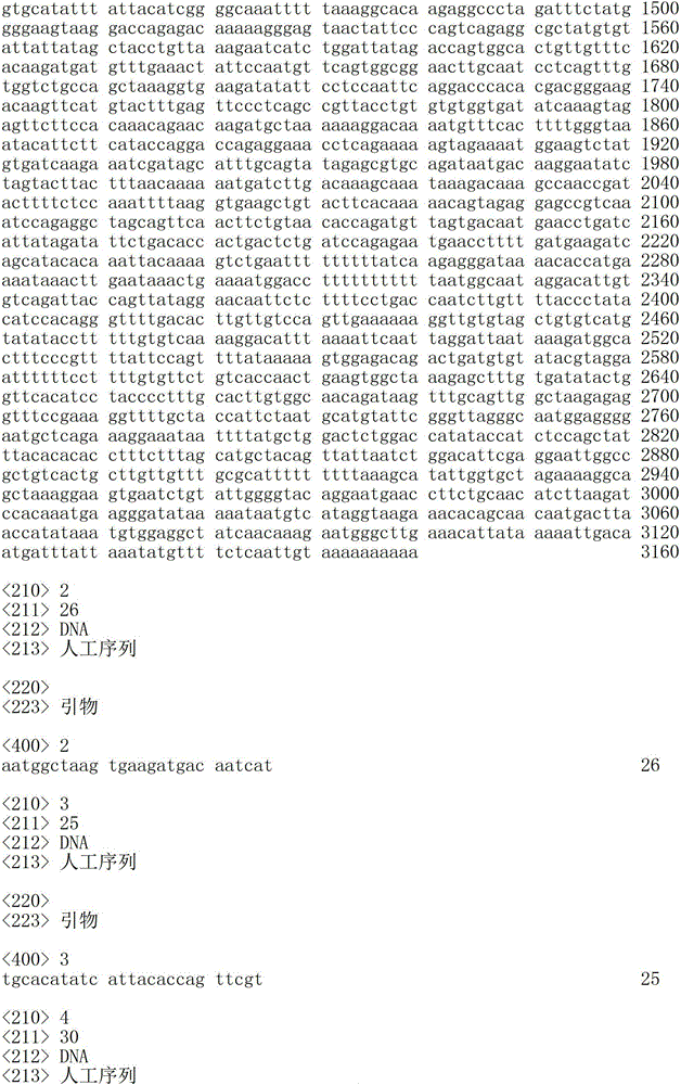 Figure IDA00002311544800021