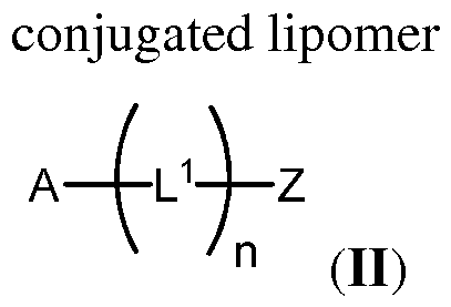 Figure imgf000006_0001