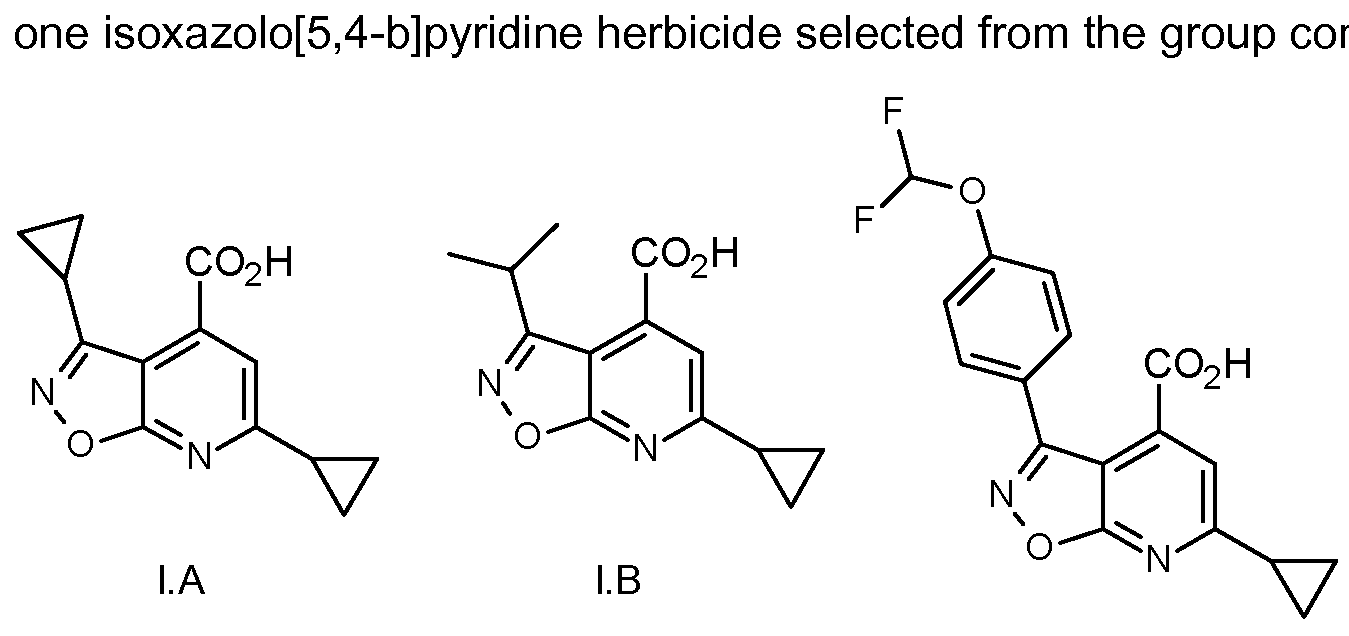 Figure imgf000003_0001
