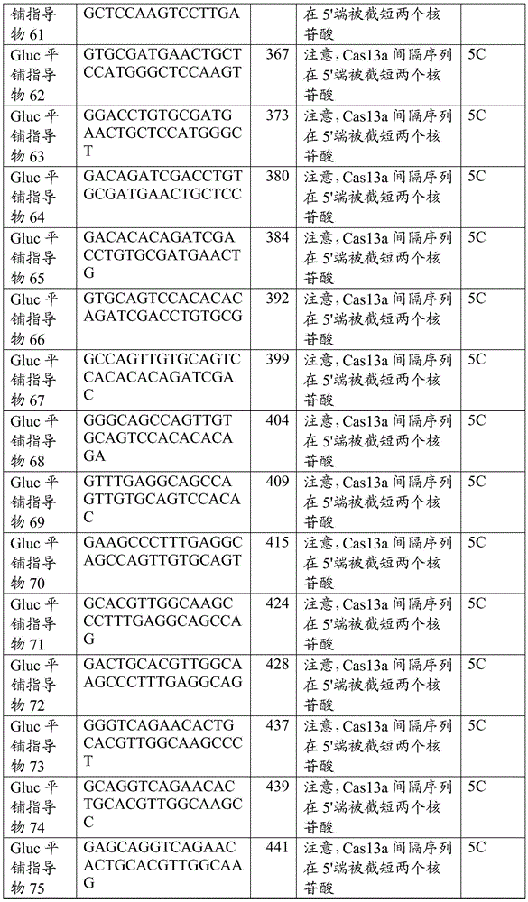 Figure BDA0002313867470003261