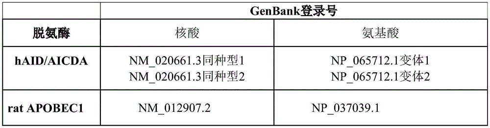 Figure BDA0002377046140000181