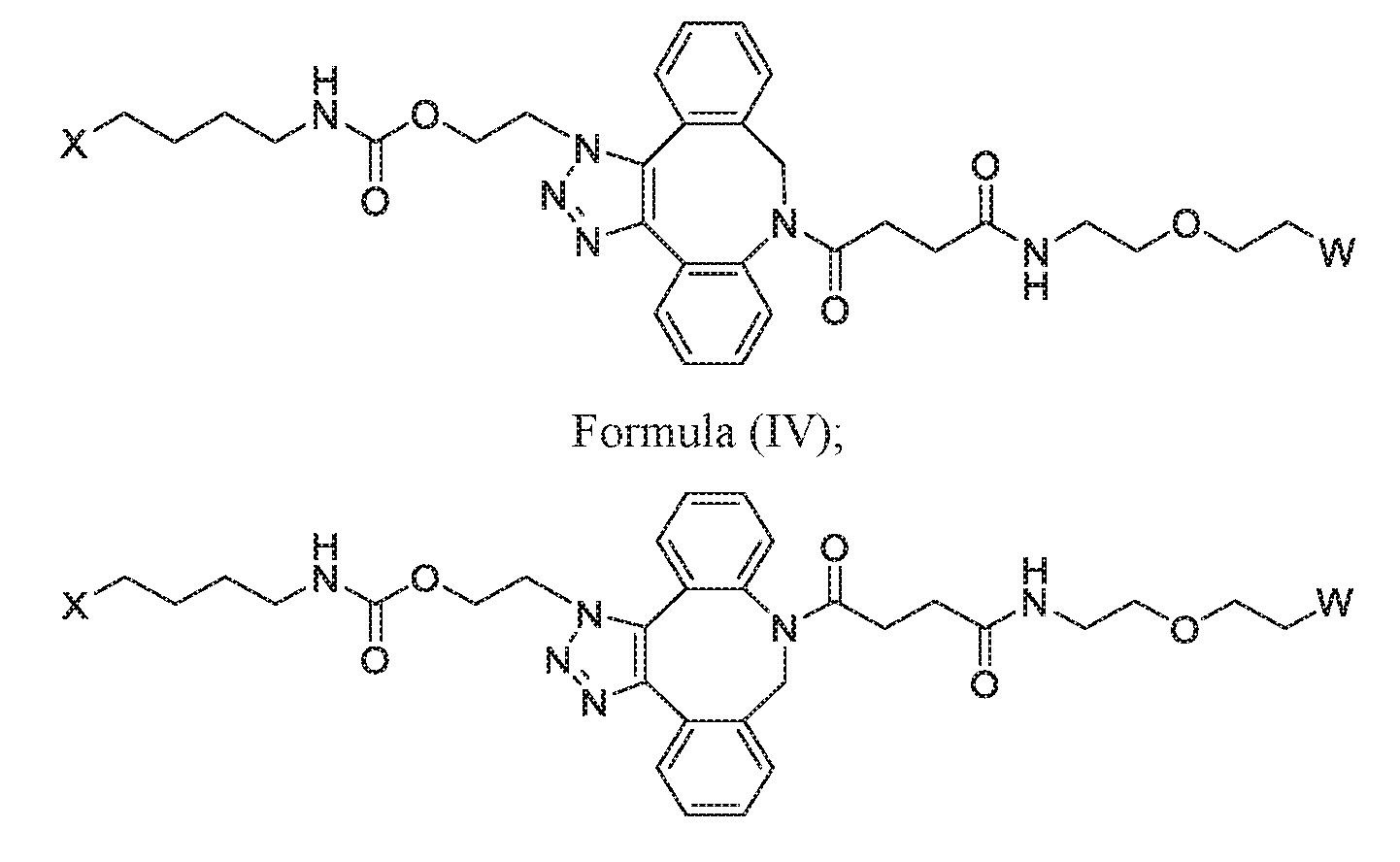 Figure imgf000007_0002
