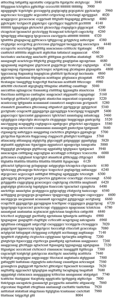 Figure IDA0003697463460000041