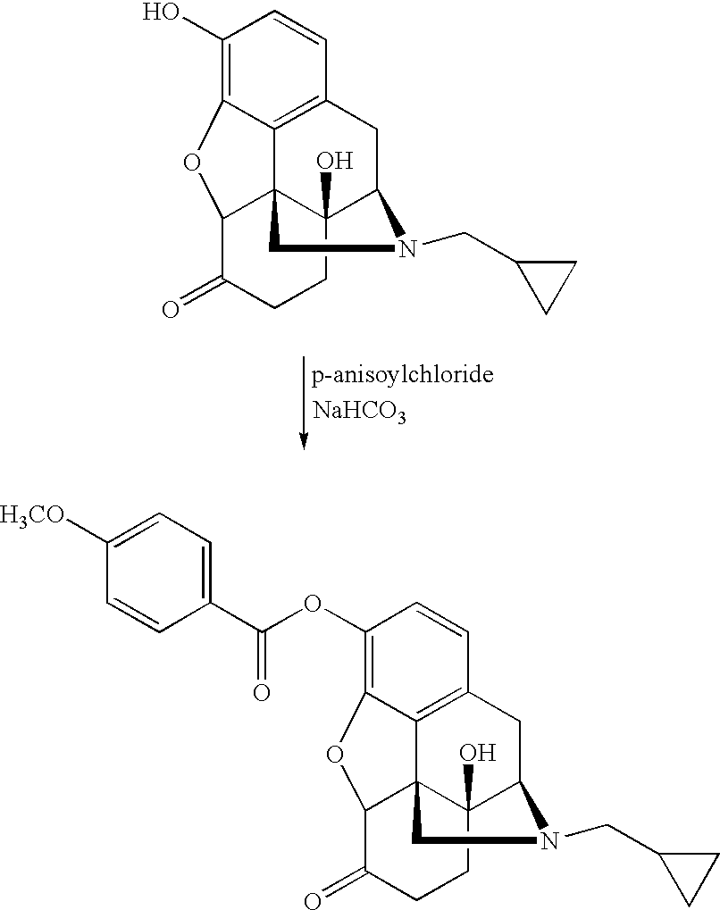 Figure US20040033253A1-20040219-C00013