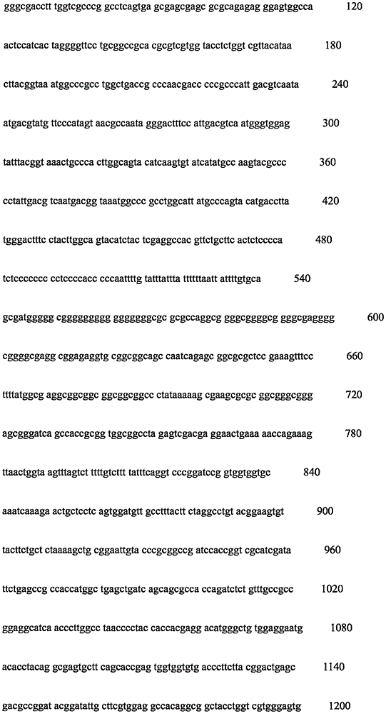 Figure IPA0000261779010000201