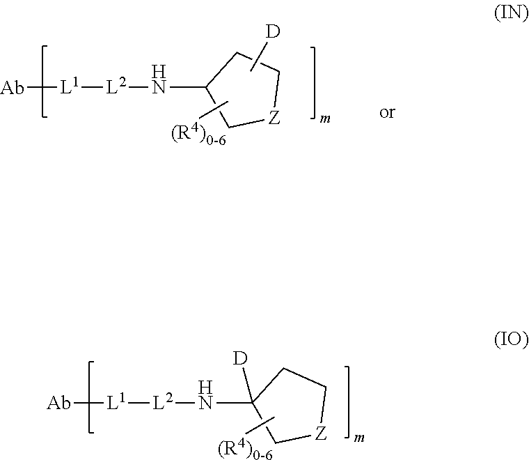 Figure US20250205350A1-20250626-C00300