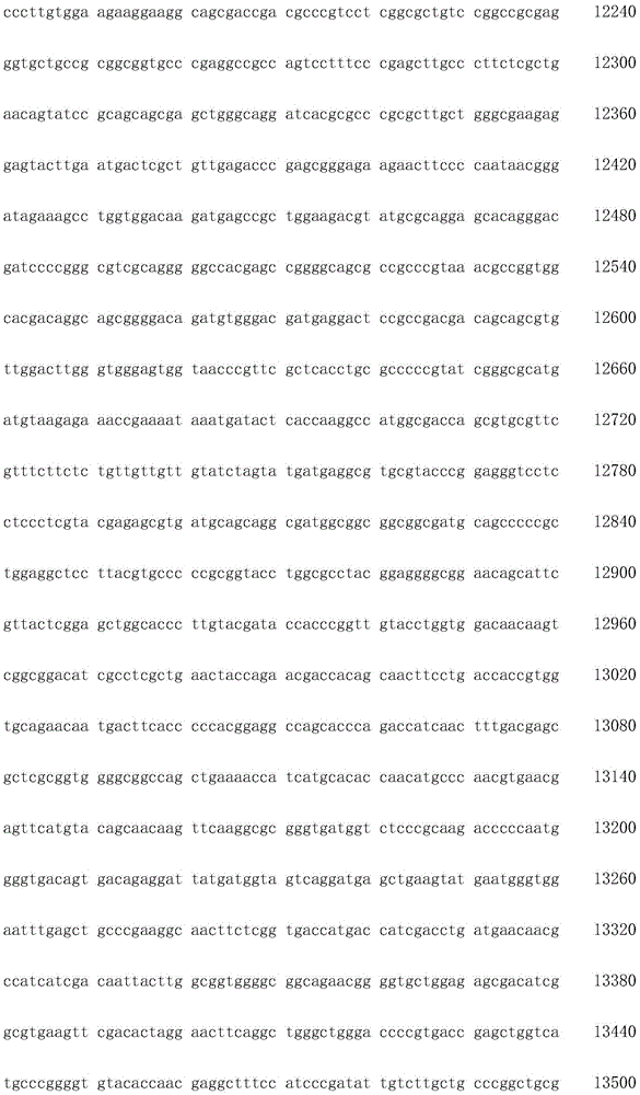 Figure IDA0002872168960001411