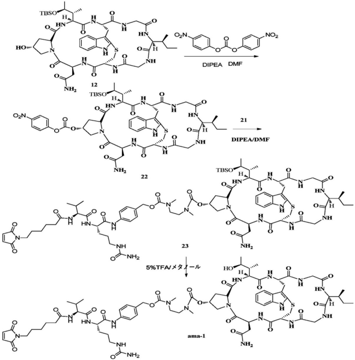 Figure 0007296396000007