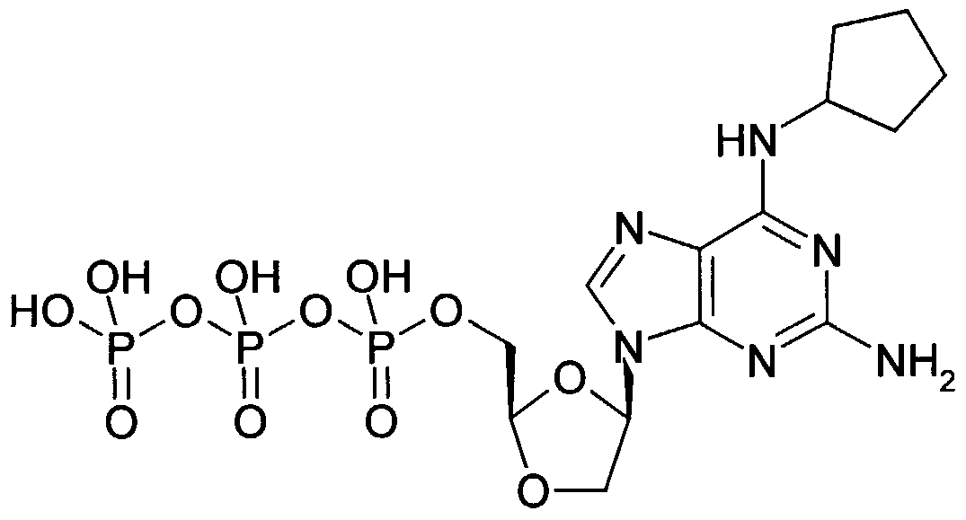Figure imgf000019_0003