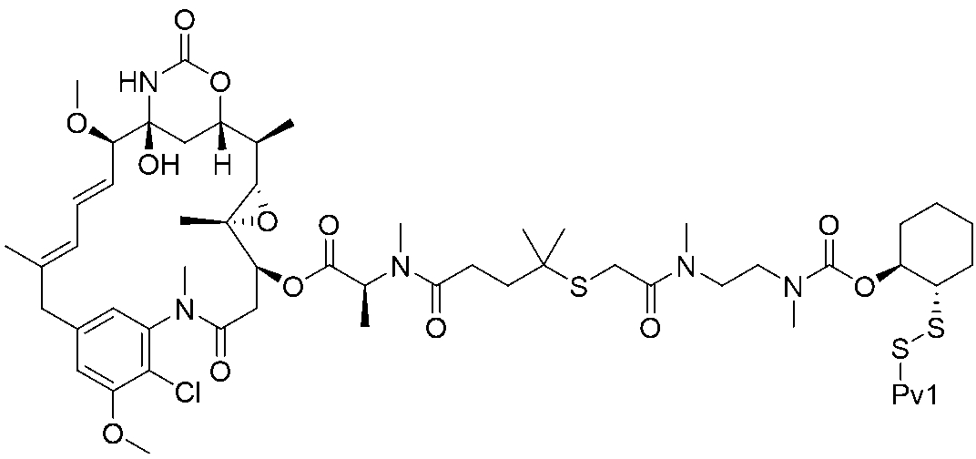 Figure 0007675060000161