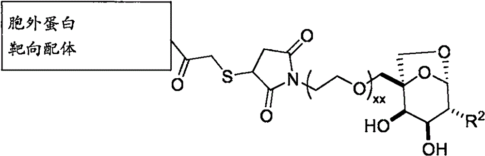 Figure BPA0000324887470000362