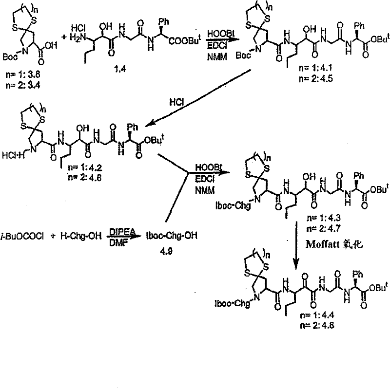 Figure BSA00000554725400961