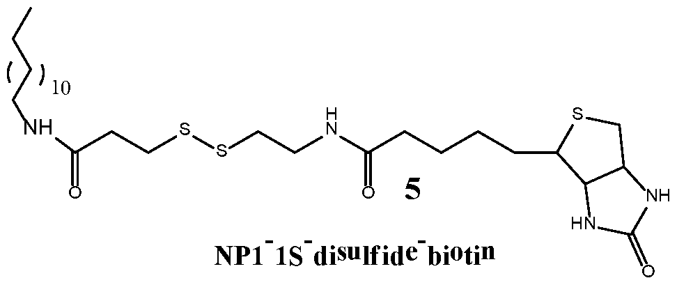 Figure imgf000185_0002