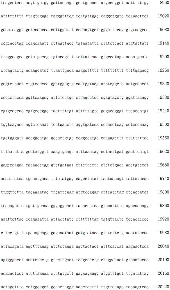 Figure IDA0003936212790000341