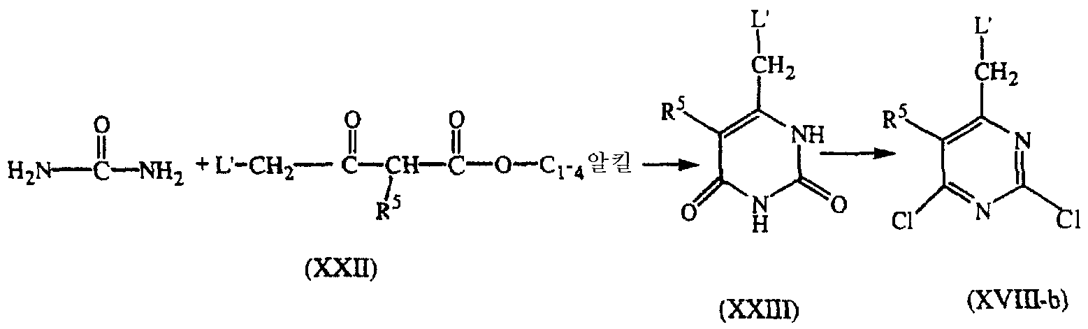 Figure 112002005073517-pct00029