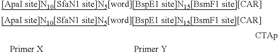 Figure US20060177832A1-20060810-C00002