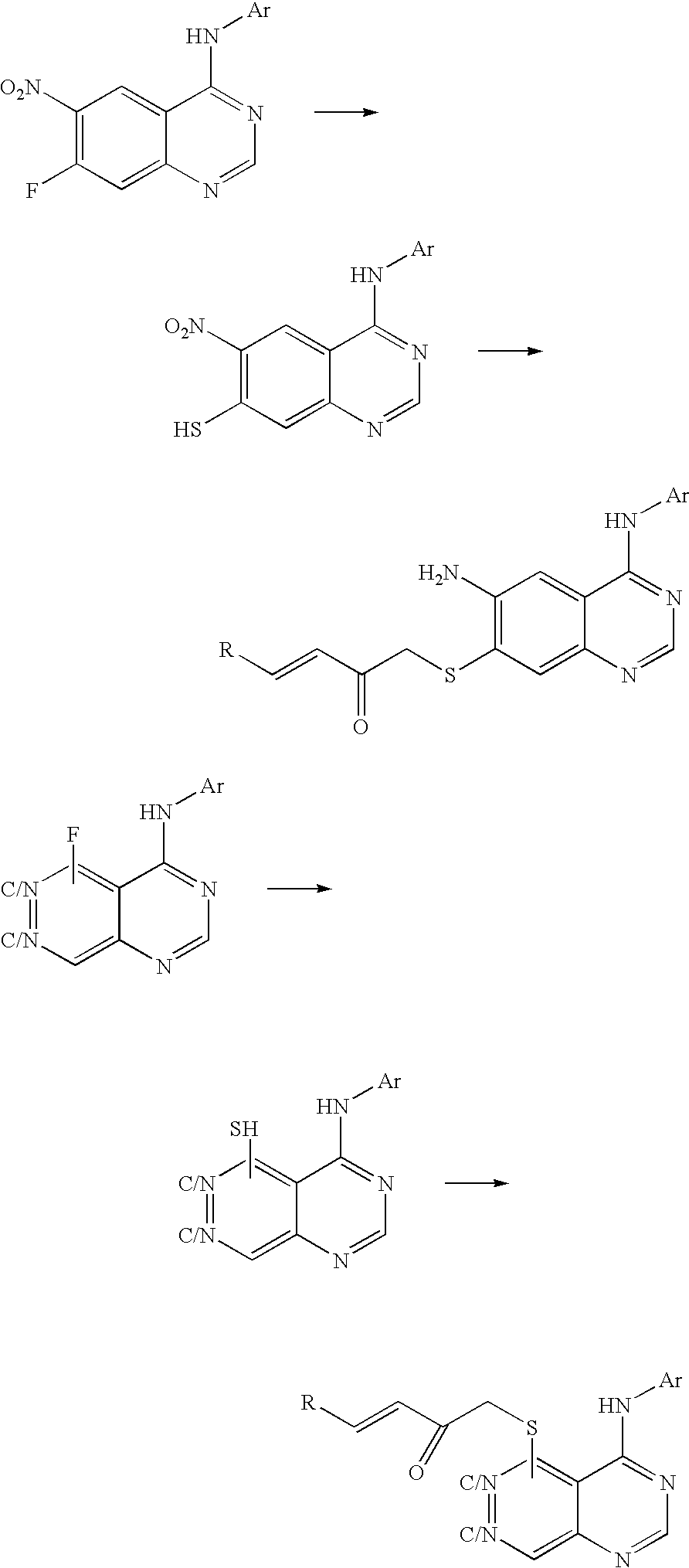 Figure US20030229051A1-20031211-C00068