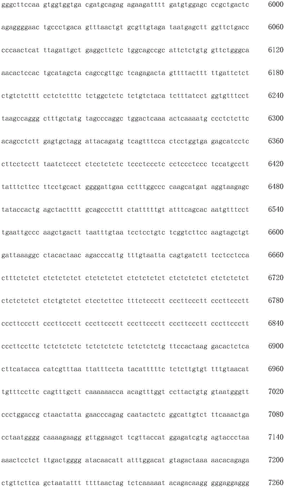 Figure IDA0003936212790000061