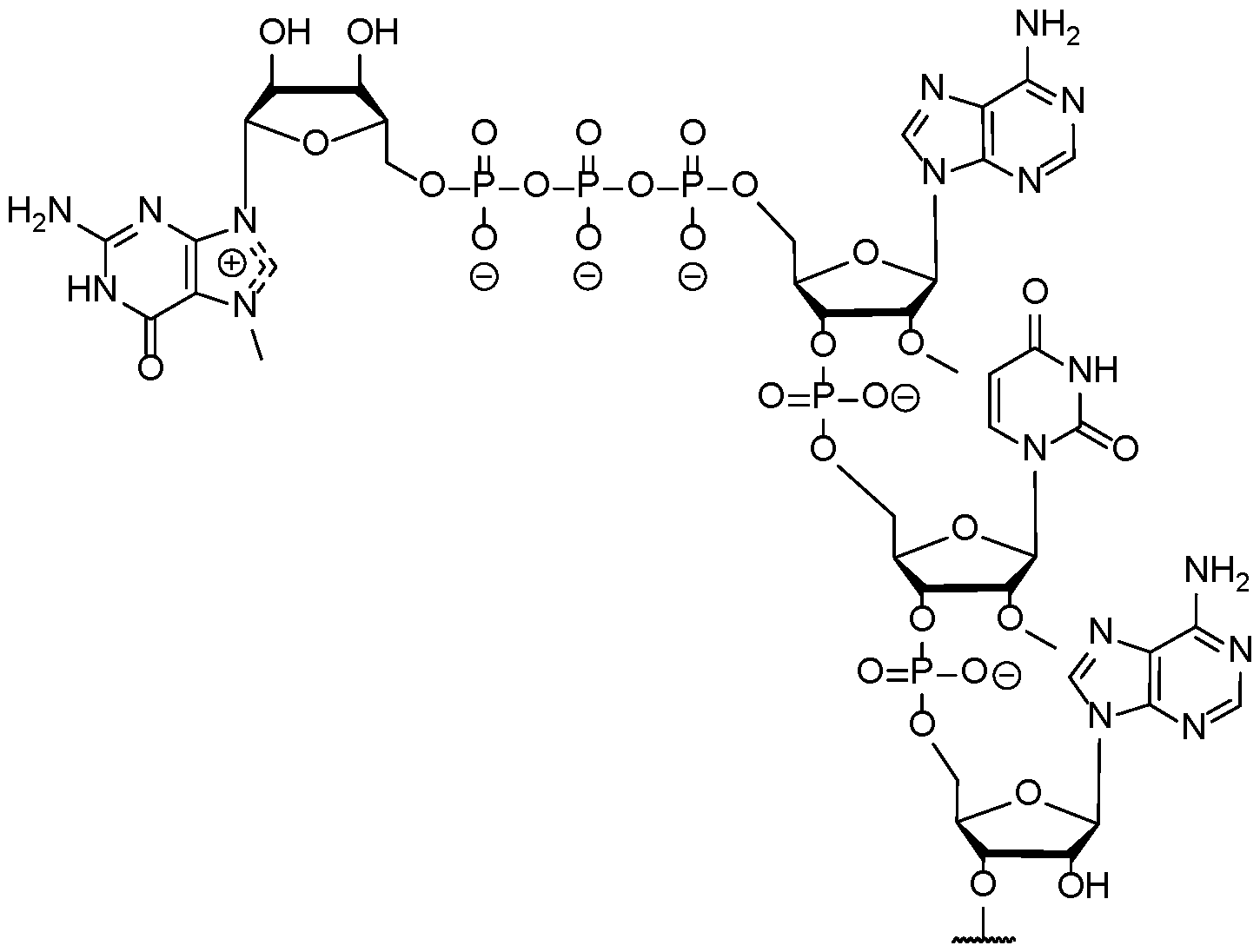 Figure imgf000058_0002