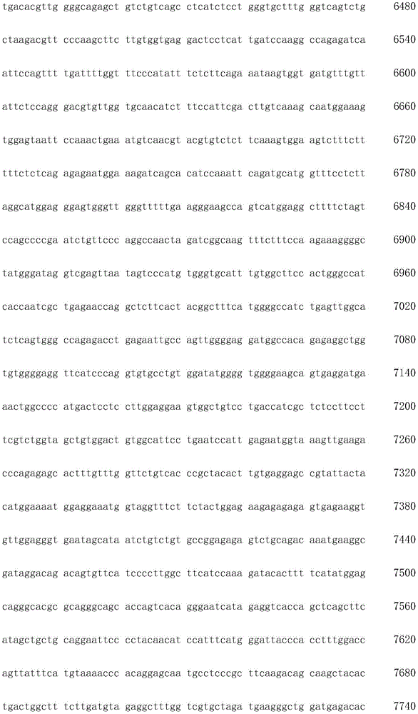 Figure IDA0003936212790000981