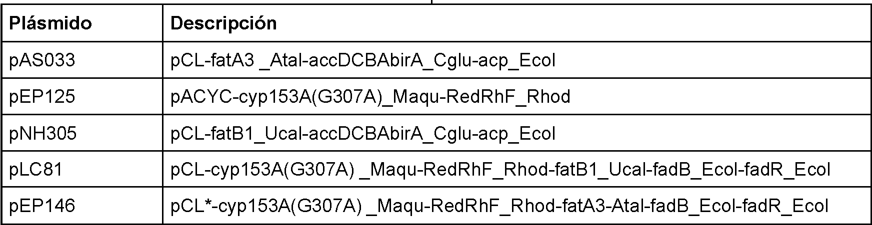 Figure imgf000050_0001