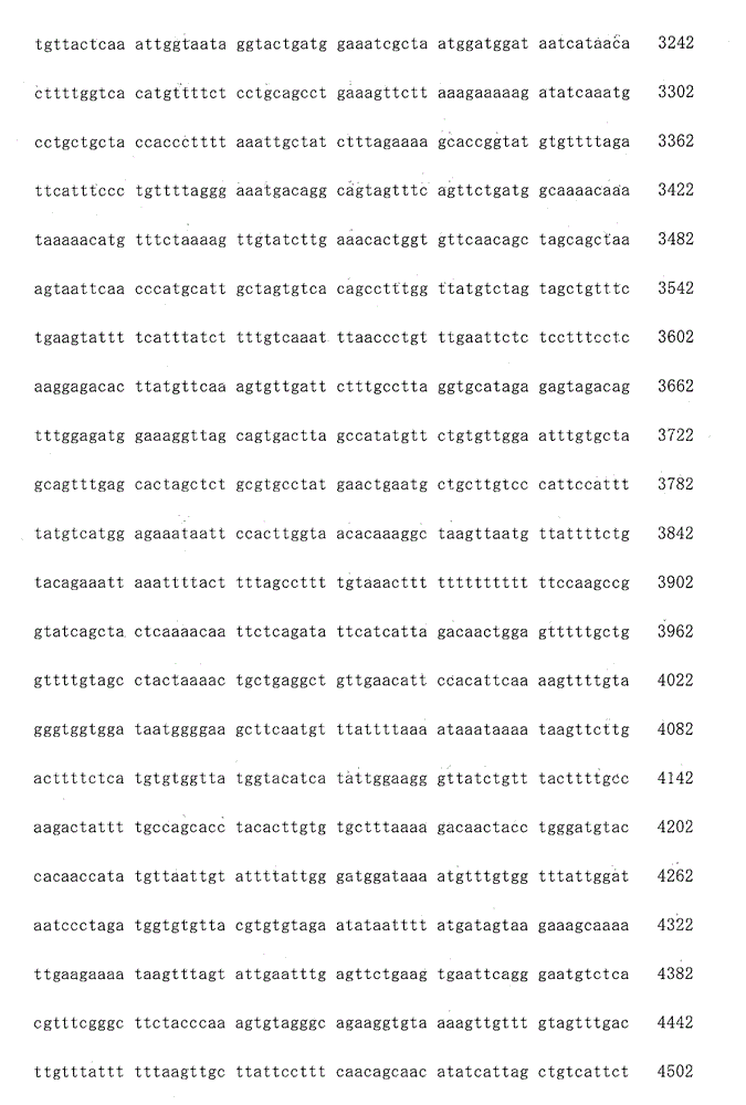 Figure IDA0000046353120000901