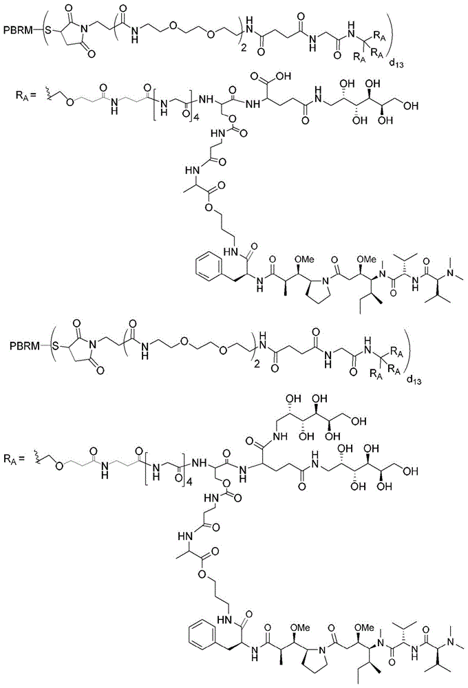 Figure BDA0003135424430001911