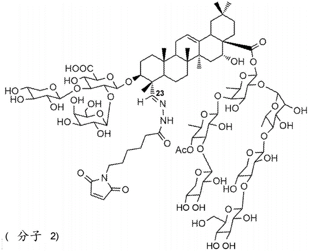 Figure BDA0004086040580000341