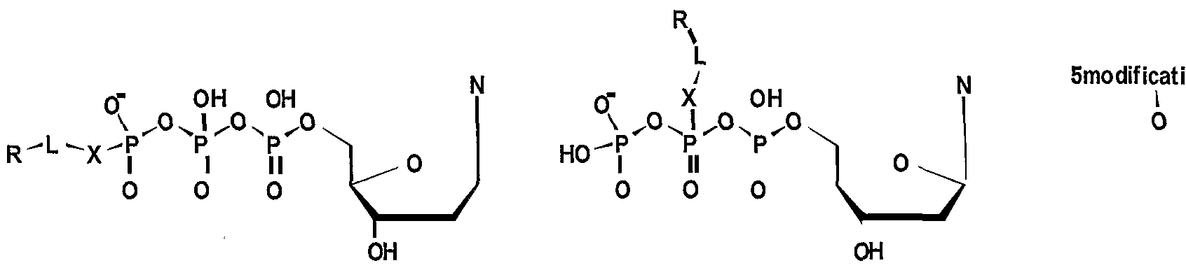 Figure imgf000078_0001