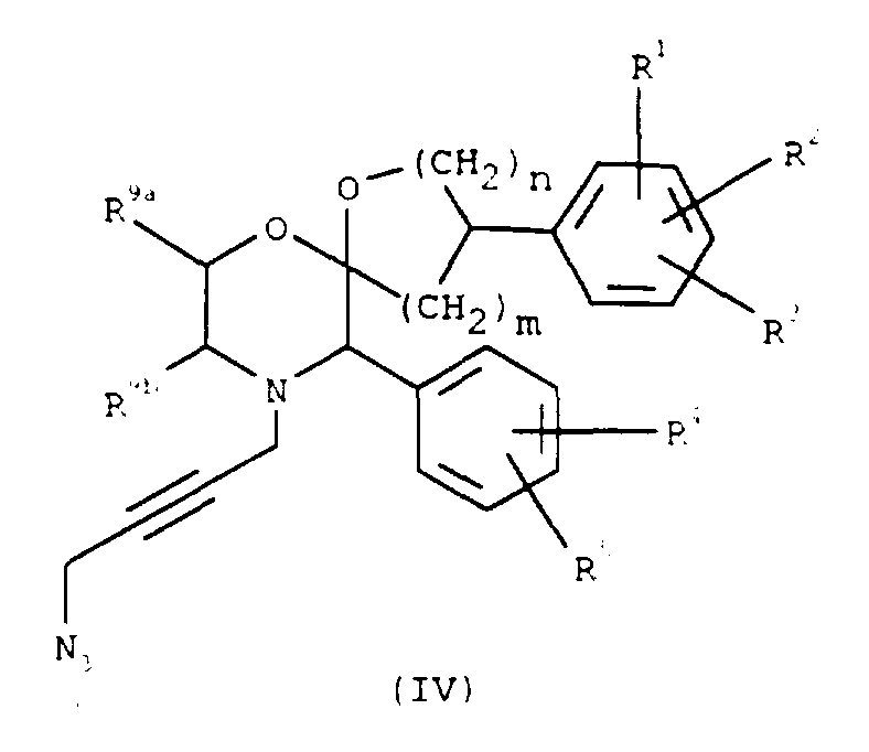 Figure imgf000031_0001