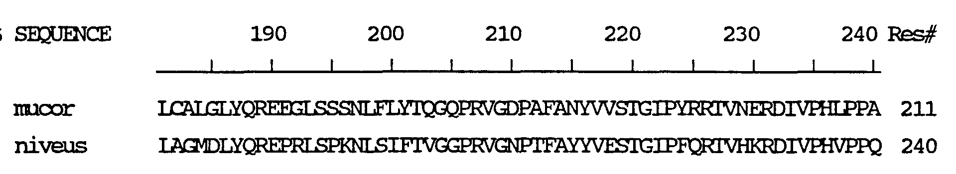 Figure imgf000013_0002