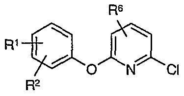 Figure imgf000023_0002