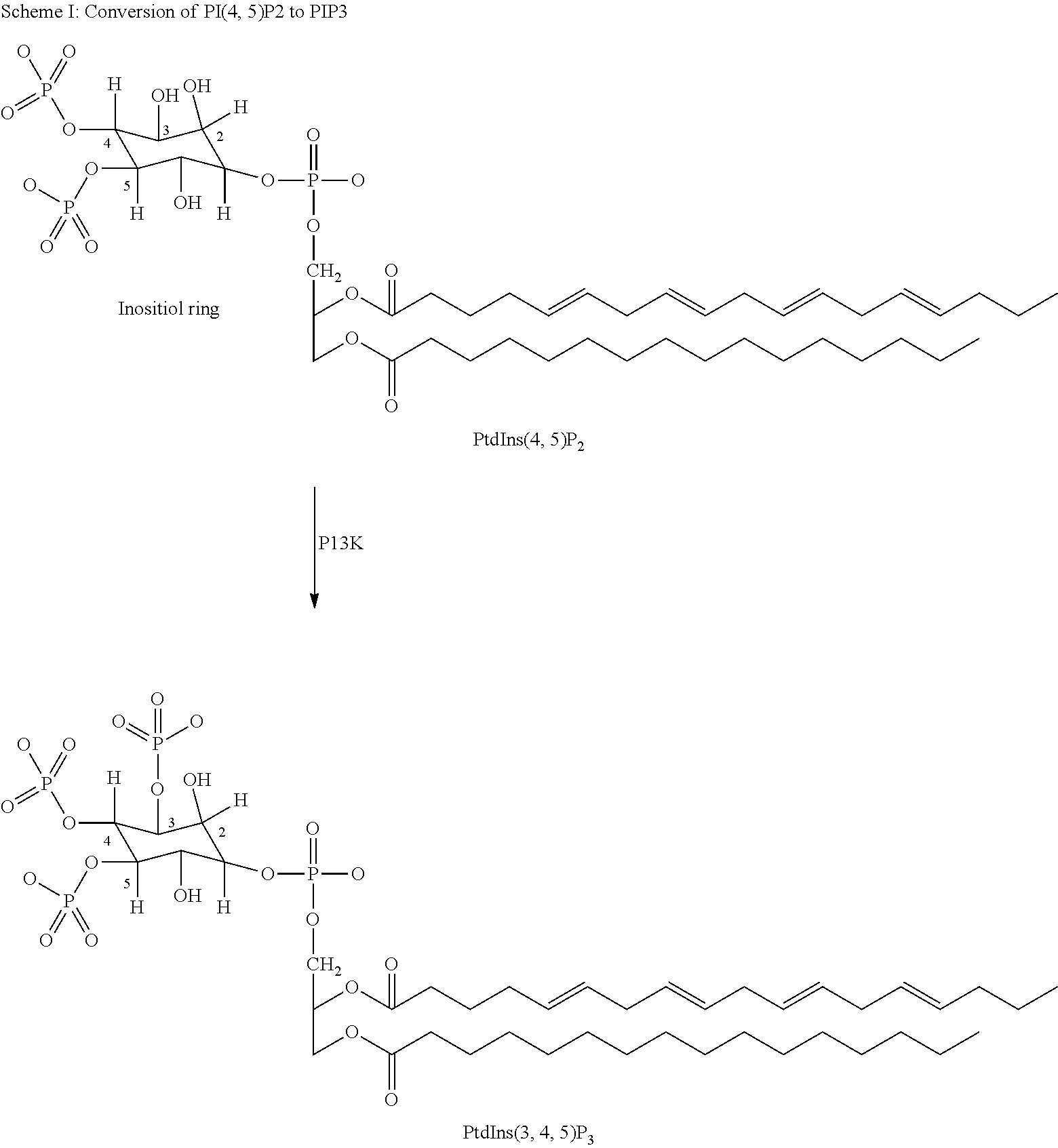 Figure US20120165321A1-20120628-C00001