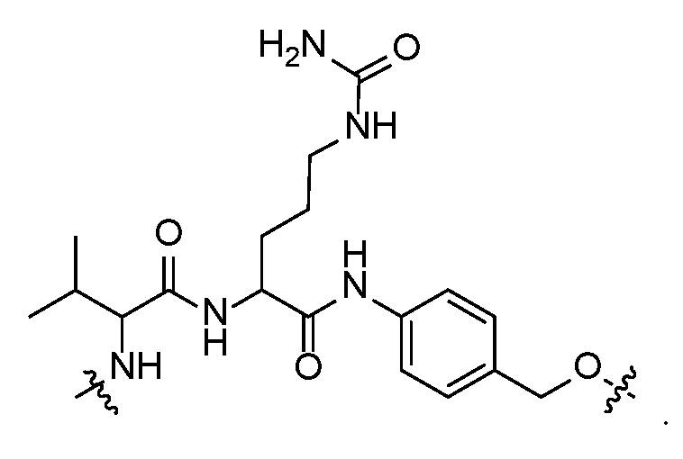 Figure imgf000036_0001