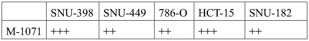 Figure BDA0001275843840002061