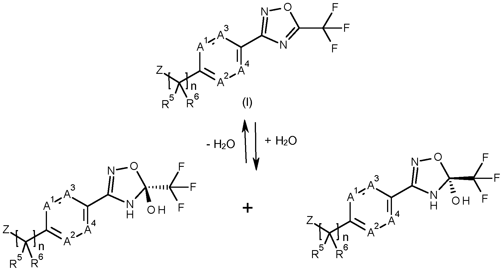 Figure imgf000015_0001
