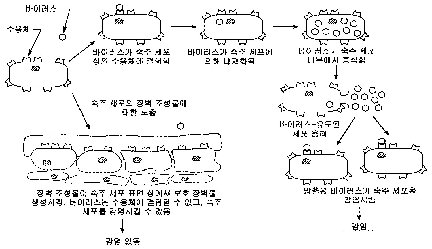 Figure P1020137030670
