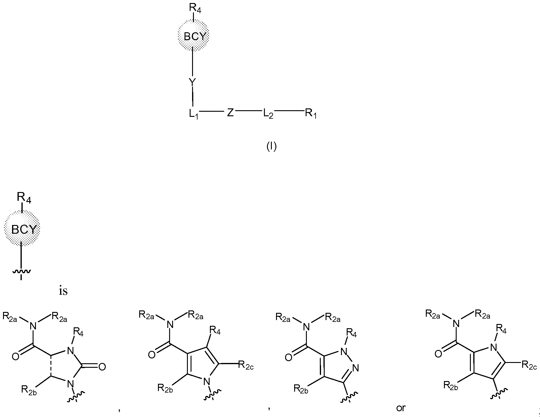 Figure imgf000003_0001