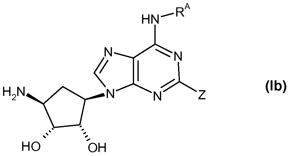 Figure imgf000019_0001