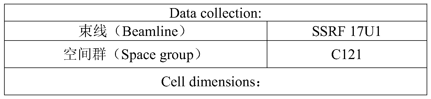 Figure PCTCN2020100232-APPB-000002