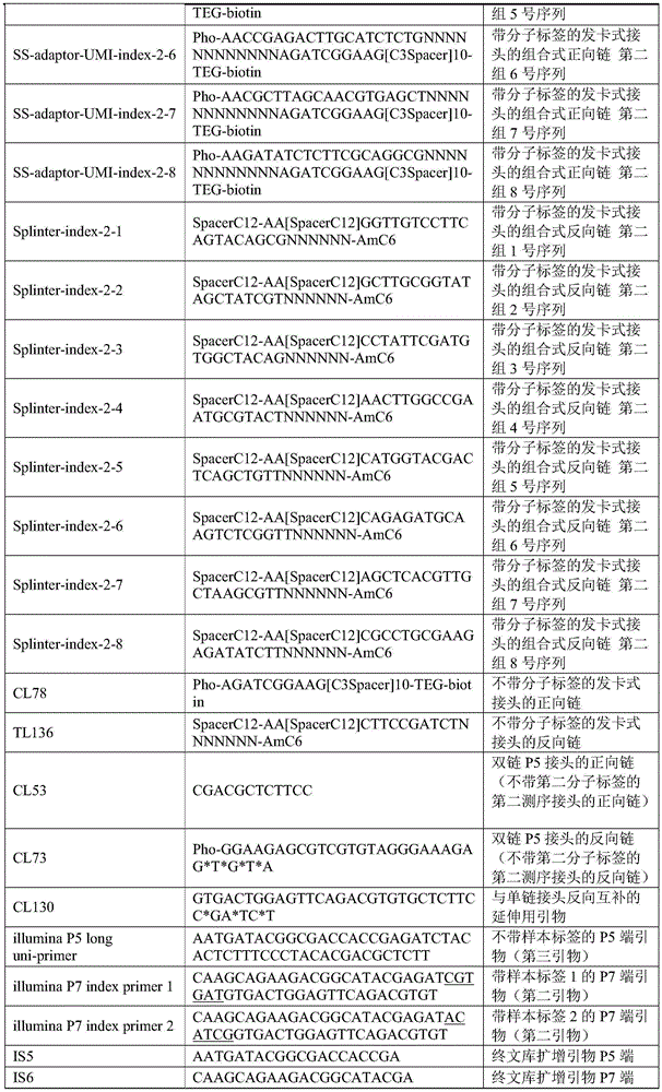 Figure BDA0002748241690000071