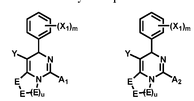 Figure imgf000020_0002