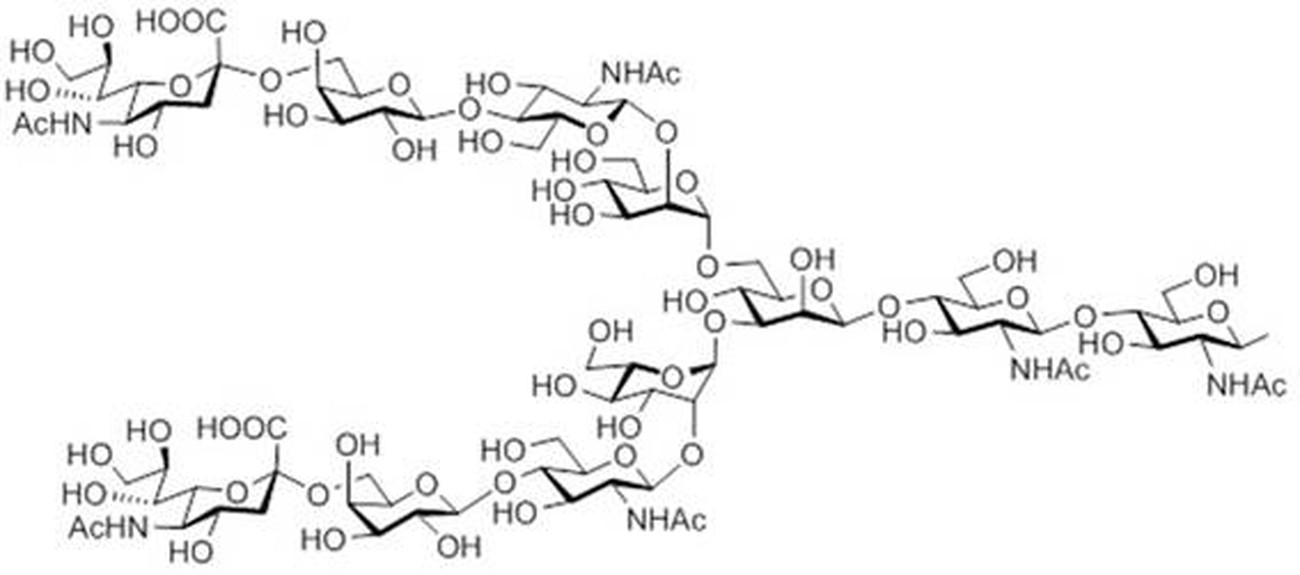 Figure 0007142286000001