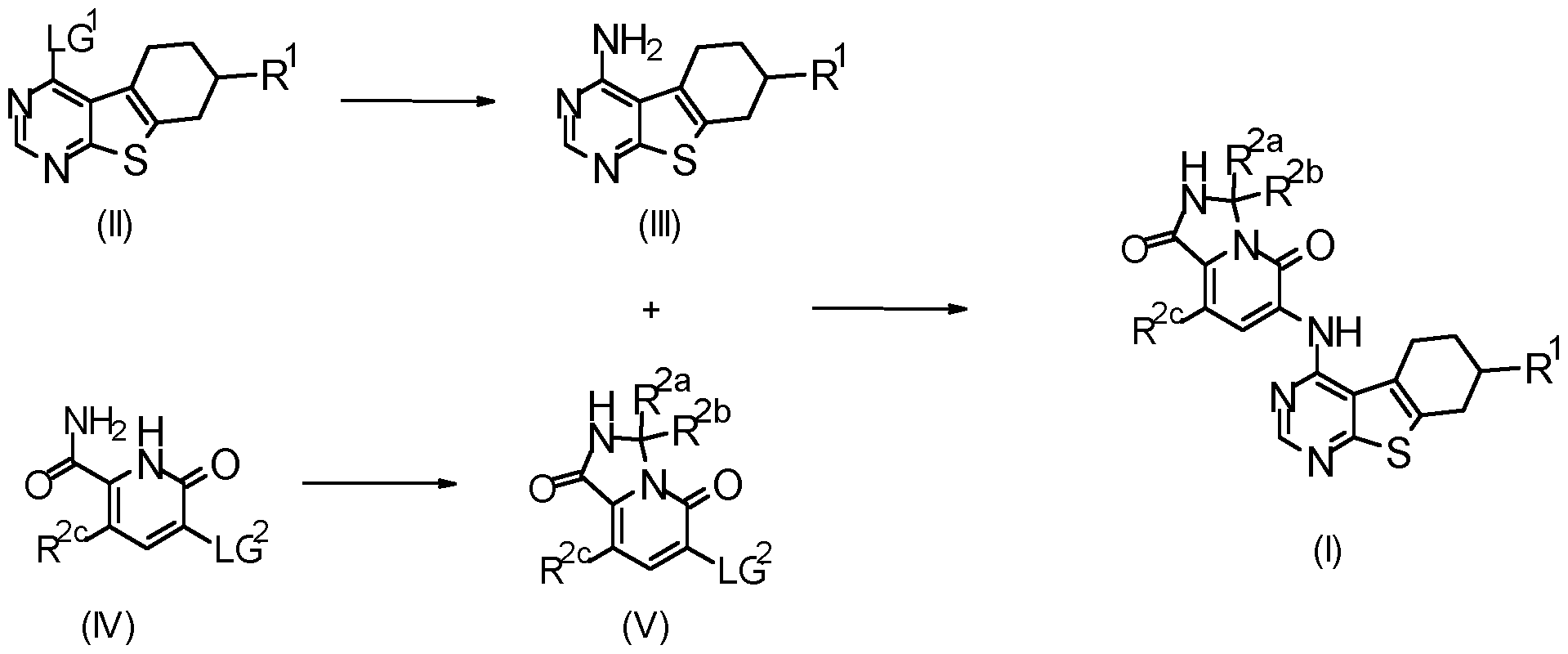Figure imgf000029_0001