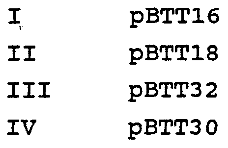 Figure imgf000009_0001