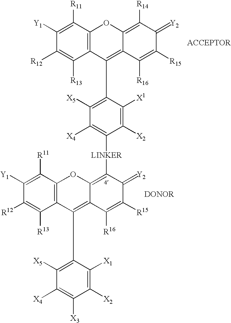 Figure US20070154927A1-20070705-C00062
