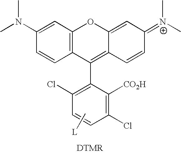 Figure US20070154927A1-20070705-C00100