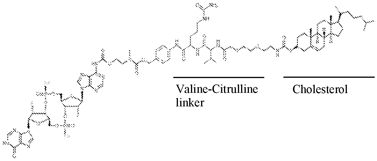 Figure imgf000006_0001